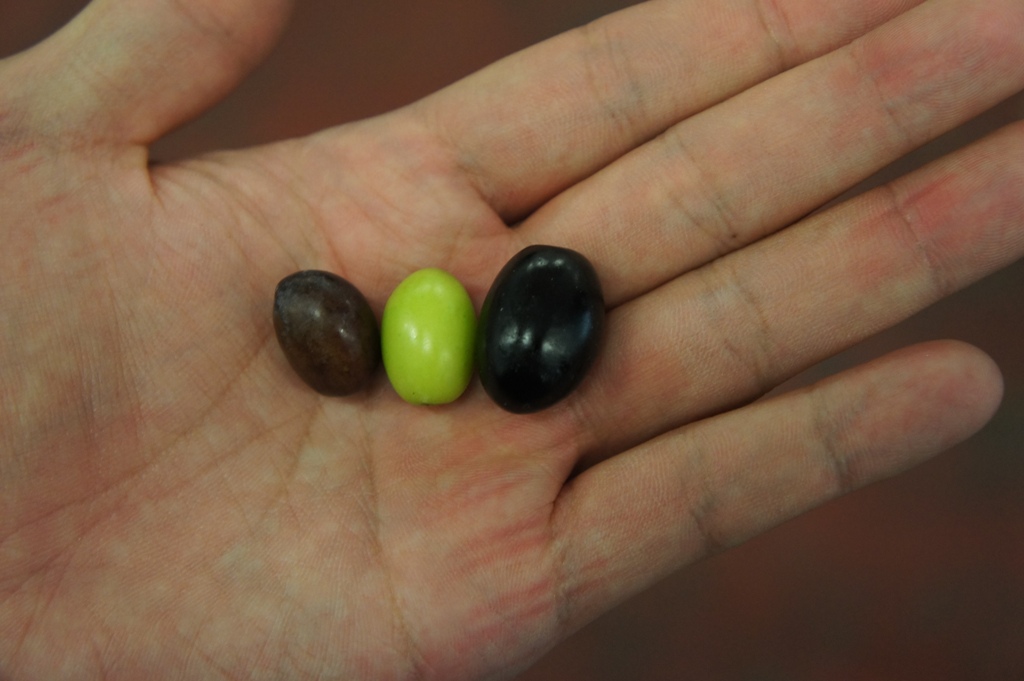 Rosati olive .jpg