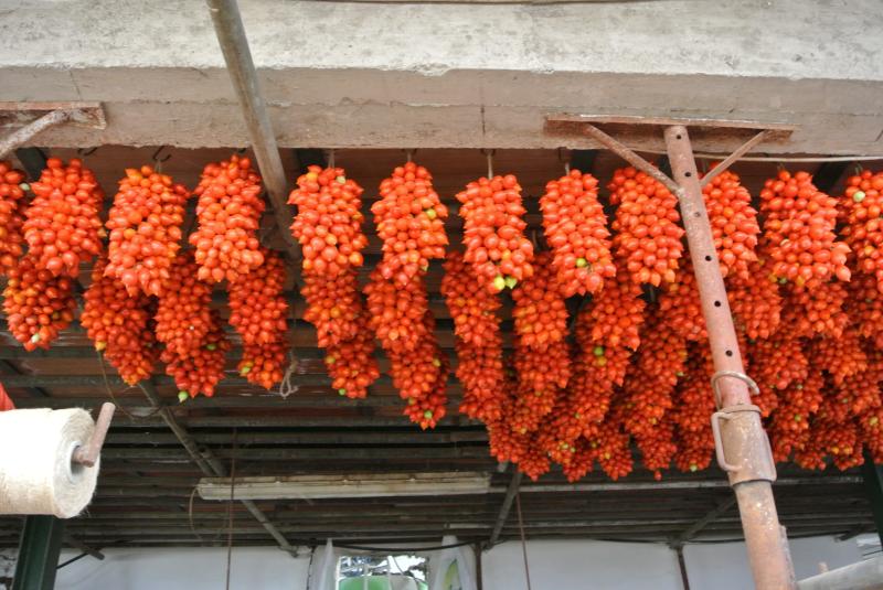 2014-vento10-tomato2.jpg