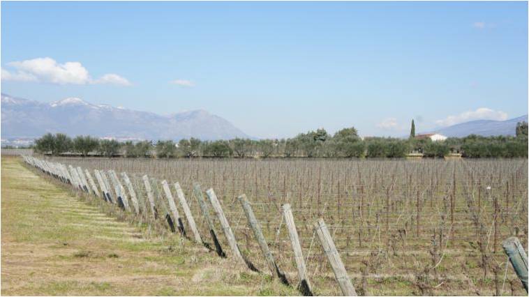 2015-vento04-montes.jpg