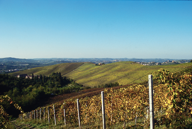 Panorama-la-Rosa_Gattinera.jpg