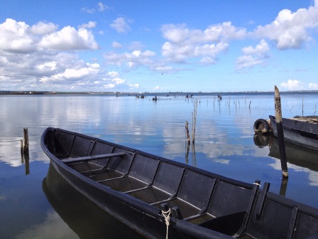 lake.jpg